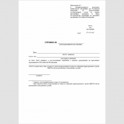 Форма "Справка" (о приеме к рассмотрению заявления о выдаче разрешения на временное проживание)