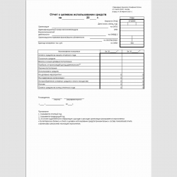 Упрощенная форма "Отчет о целевом использовании средств" (ОКУД 0710003)