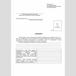 Форма "Заявление о приеме в гражданство или восстановлении гражданства Российской Федерации"